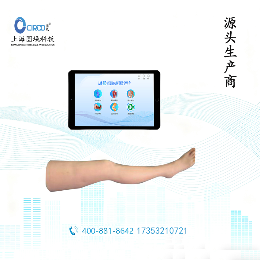 交互式腿部针灸多媒体教学系统 下肢穴位针刺训练考核平台